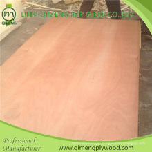 Poplar or Hardwood Core Dbbcc Grade 15mm Bintangor Plywood